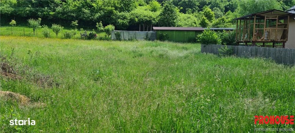 Teren 2033 mp- langa padure-  Margineni- Podis Dubas