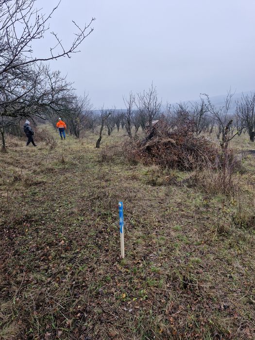Vand Teren intravilan in Cordau