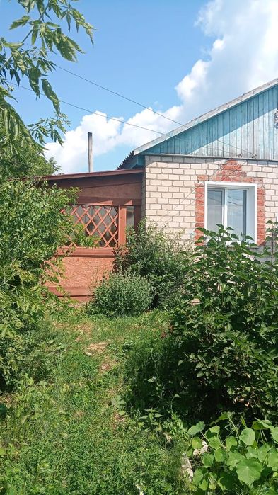 Продам дом в с. Шаховское