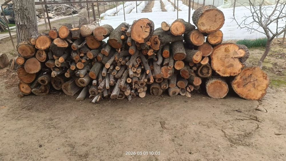 O'tin sotiladi narxi kelishiladi