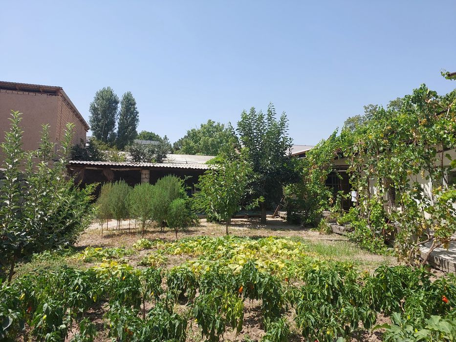 Qibray sentrda 3 sotix yer sotiladi