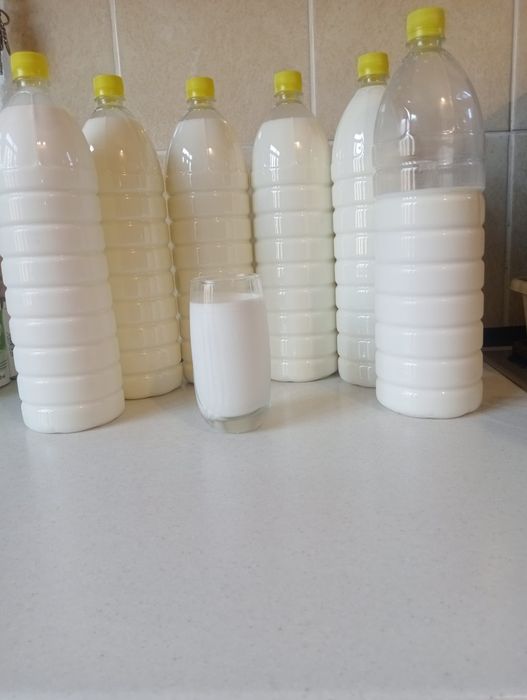 Vând lapte de Capra.  15 lei litru