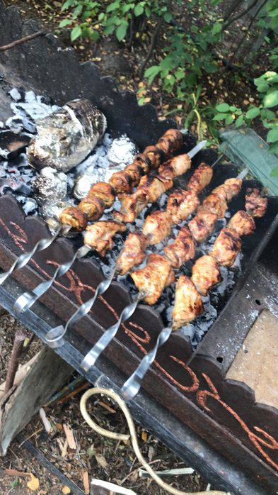 Дача на берегу Ишима