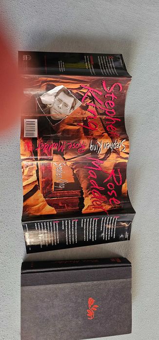 Carti  Stephen King Rose Maddler si Karen Maitland  The Owl Killers