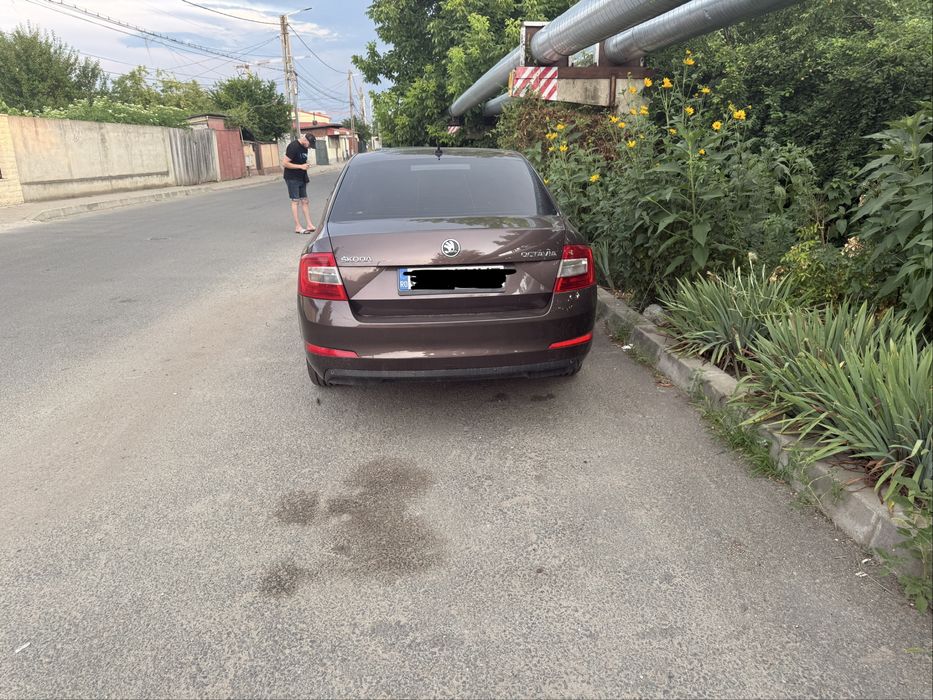 SKODA Octavia 2014 — imagine 2
