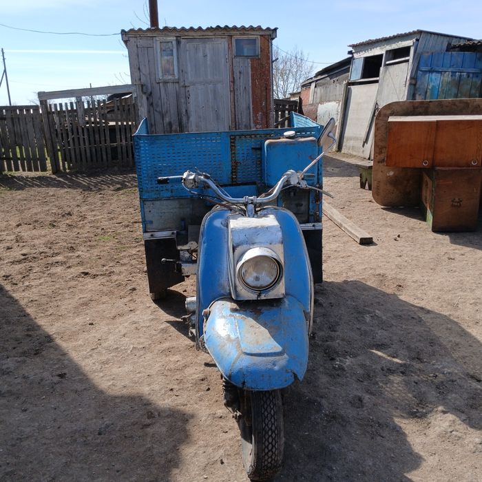 Срочно продам муравейник