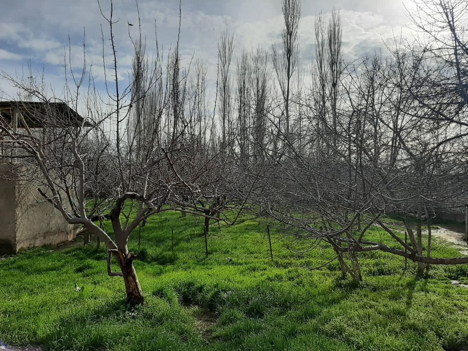 Продём дом Бостанлыкском районе. Янги аул