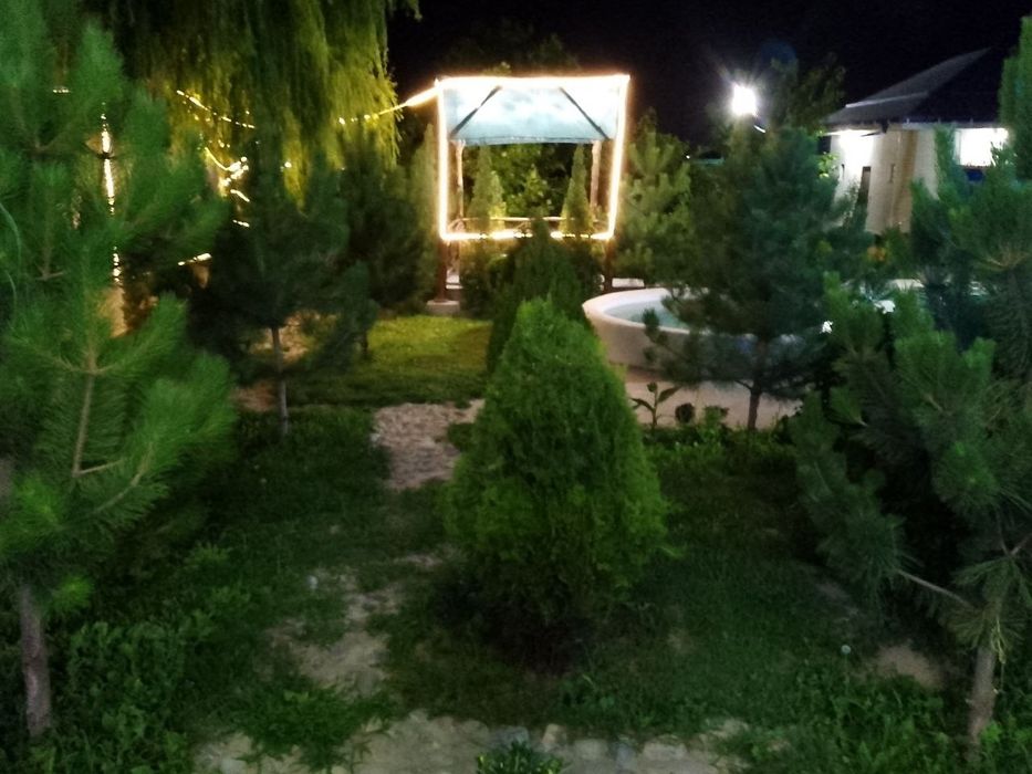 Dacha yangi hayot