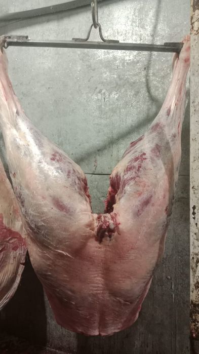 Продам мясо от 150000тг