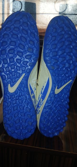 Сороконожка молочный