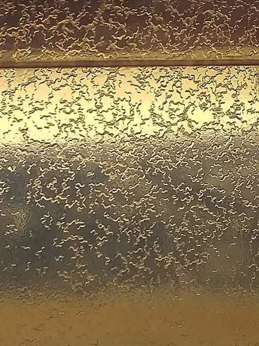 Microviermi pentru pestii de acvariu