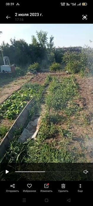 Продам дачу сообщество ромашка