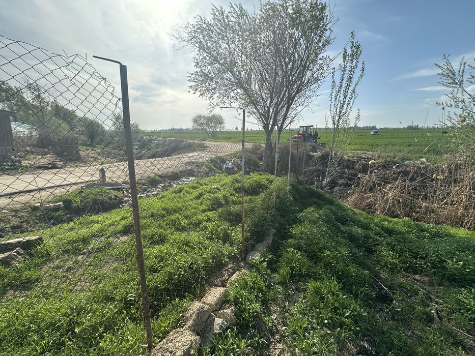 Ферма чорвага кизиканларга зор жой