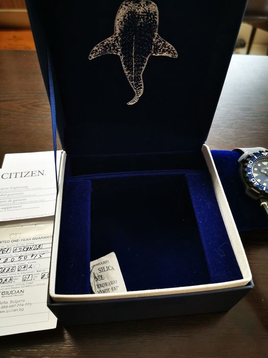 Citizen titanium promaster eco drive