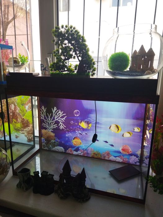 Аквариум 100л.с лампой Навои Фрунзе