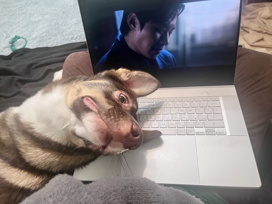 Собака 1 год почти