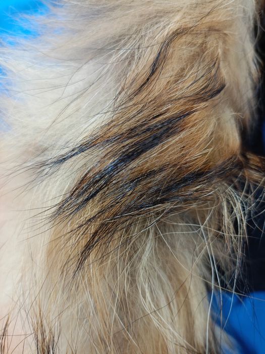 Комбинезон детский