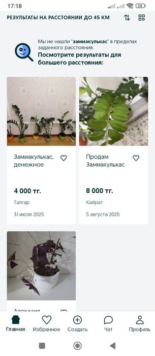 Продам отростки замиакулькас