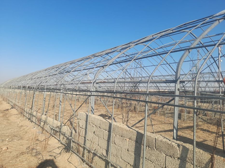 Теплица завадской