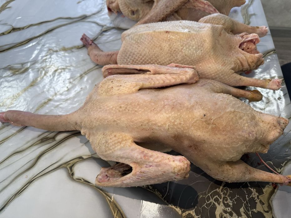 Продаём тушка гуся
