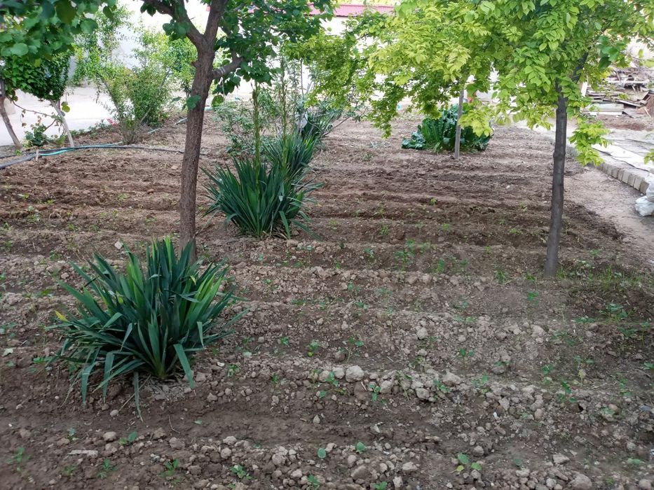 Уй сотилади келес отганда навойида уй  . Келишамиз