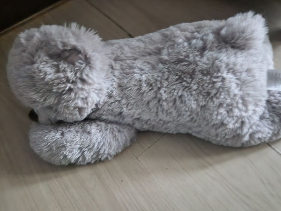 Jucărie plus ,medie