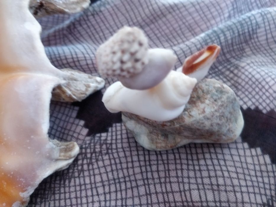 Figurina din scoici - Little snail