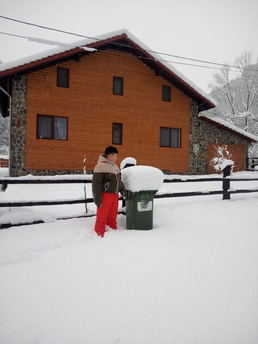 Cabana de vanzare la poalele munților Metaliferi