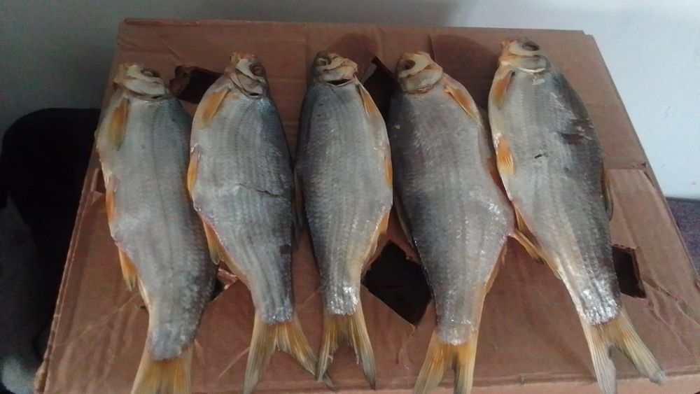 Рыбец балыгы бар