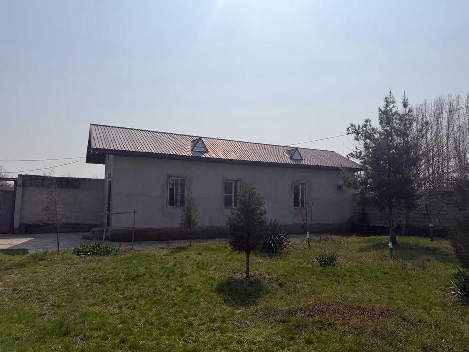 16 соток земли у воды рядом с Ташкентом — всего 13 км от круга Рохат