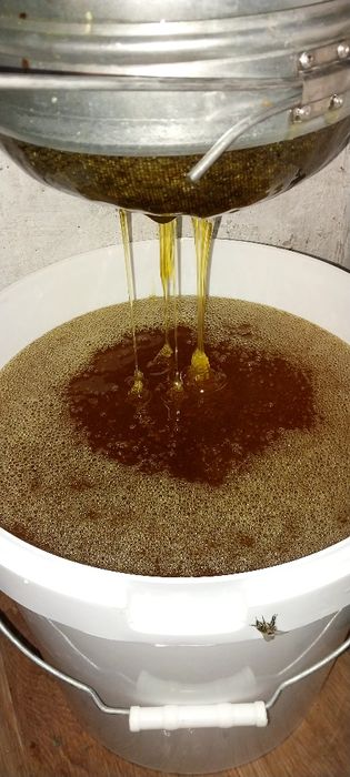 Продам мёд оптом и в розницу