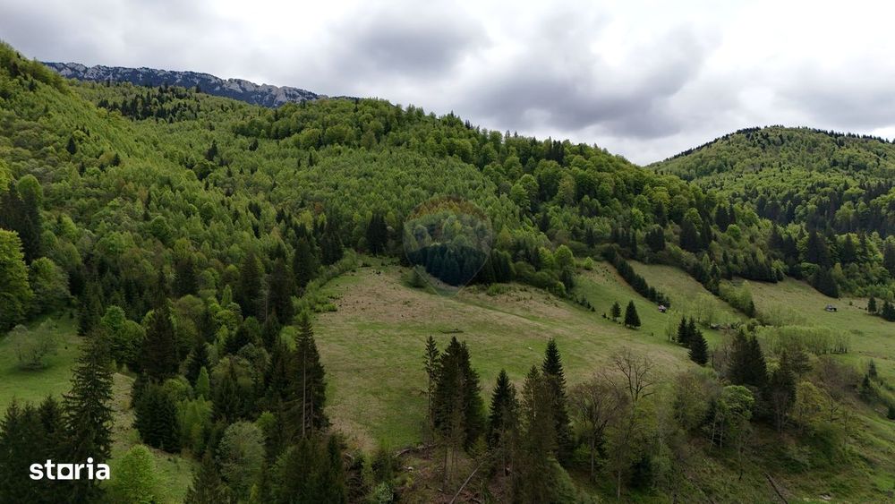 Extravilan + Intravilan | Sătic-Rucăr | Cadru natural | Turistic