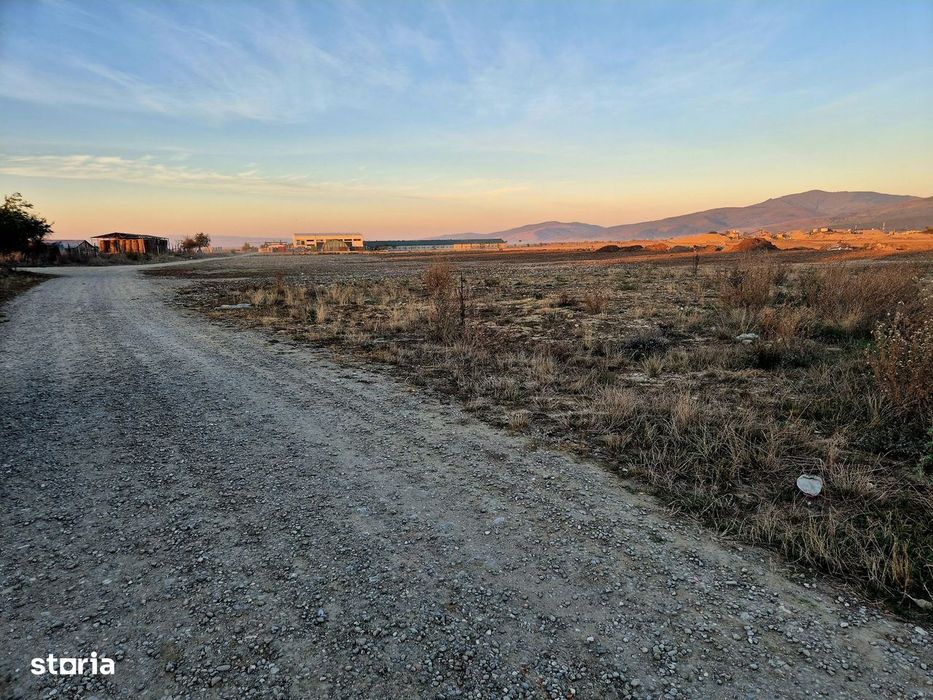 Teren intravilan 1450 mp, construibil Carpinis, zona de case