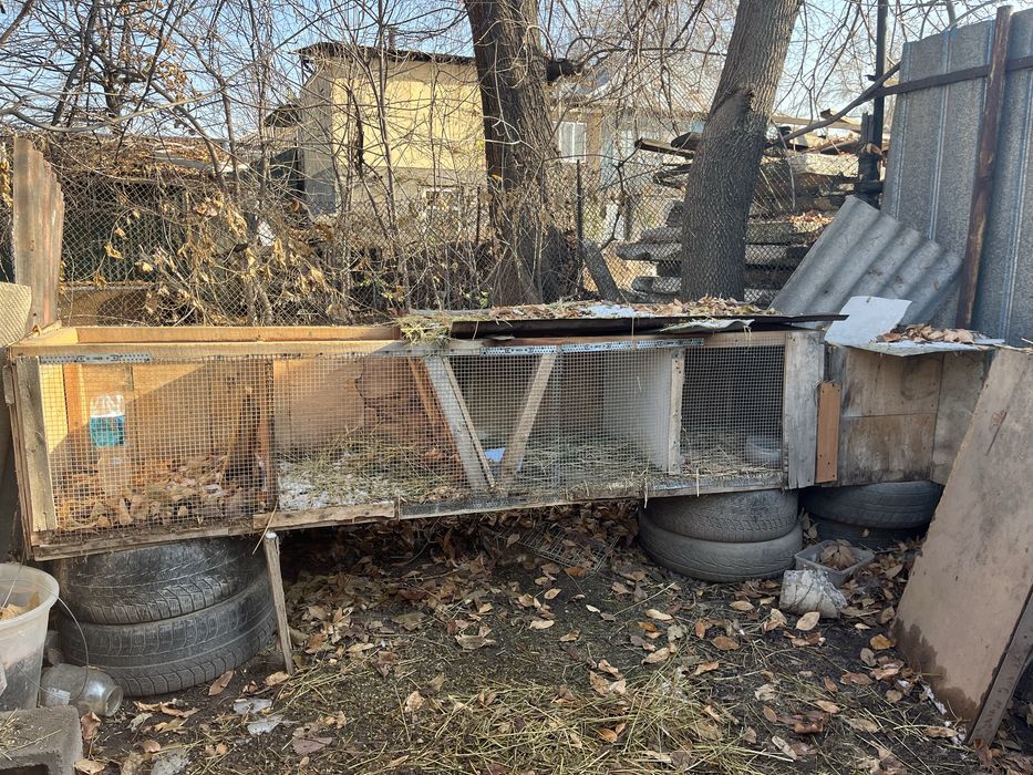 Клетки для еоллов и цыплят