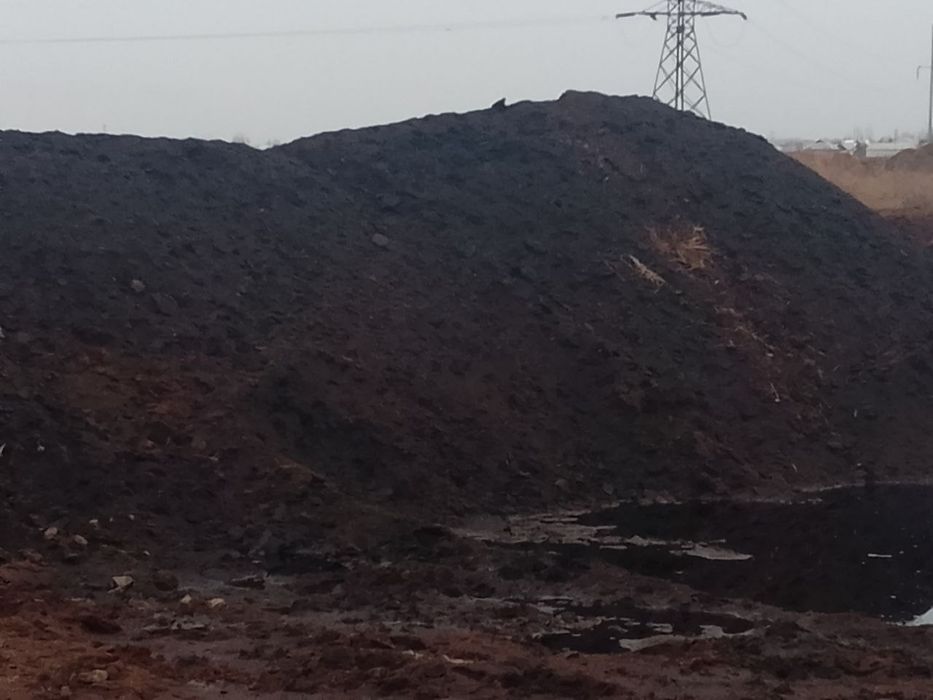 Qurigan tovuq go'ngi