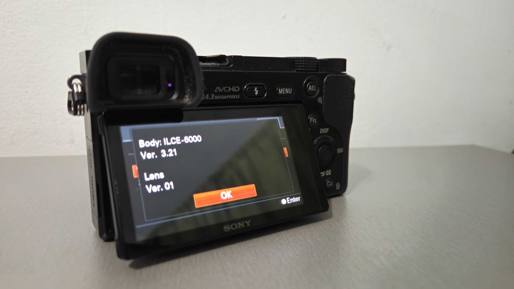 Sony Alpha ILCE a6000 | 16-50mm 3.5-5.6f | 20113 cadre