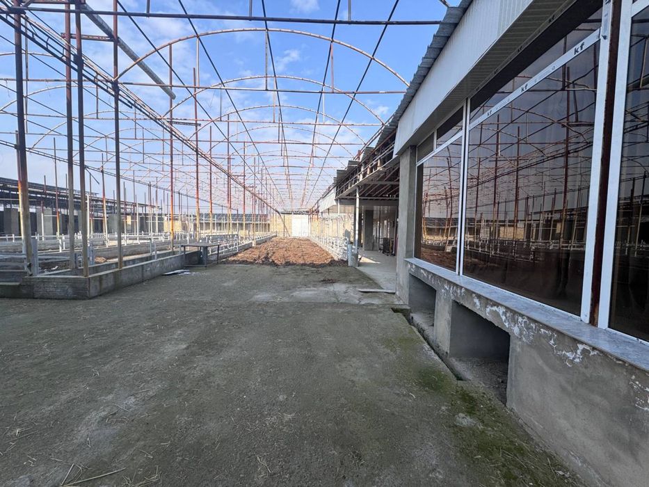 Мол Ферма арендага берилади ёки сотилади