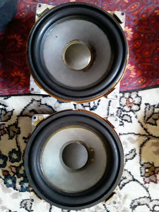 Калонка от маяка 10гдш 400. Динамики 10гд 300.