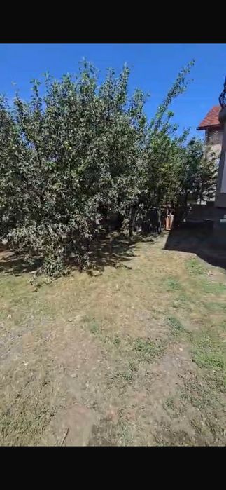 Casa de inchiriat Sannicoara