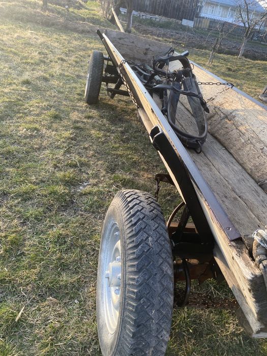 Faiton și ham de piele