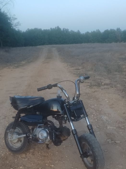 Vand Skyteam monkey 125cc