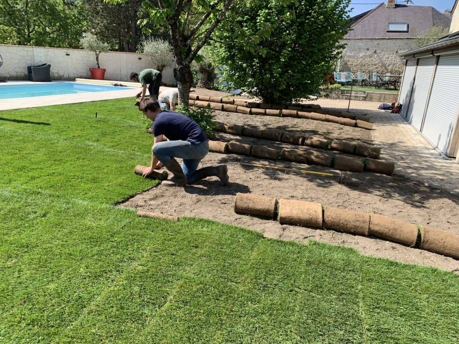 Рулонный газон / Посевной газон