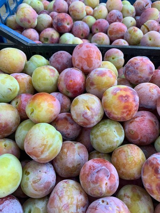 Prune BIO de consum, compot si gem