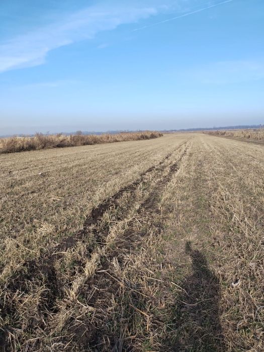 Продам землю К/Х