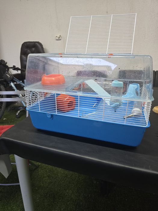 Cusca etajată  rozatoare  hamsteri