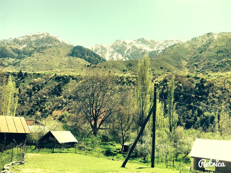 Бустонлик уй арзонга