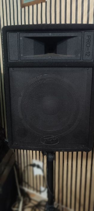 Sistem audio de putere