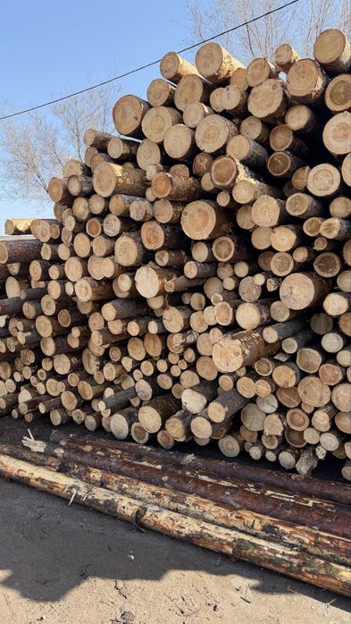 Кругляк , балки сосна бревна