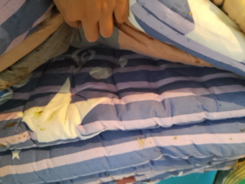 Уля для пчело. Пчеловодства