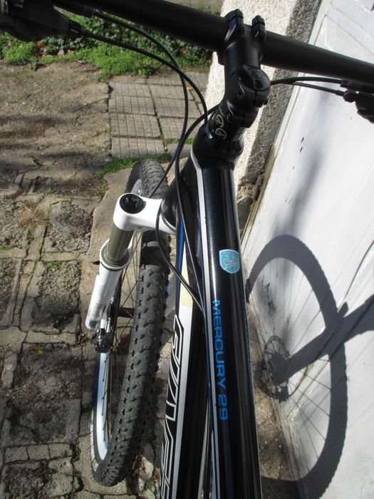 Silverback MERCURY ELITE 29" xc/trail setup